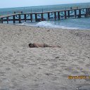 ���� �����, ��������� - ��������� 15 ������ 2016 � ������ ���� ����������