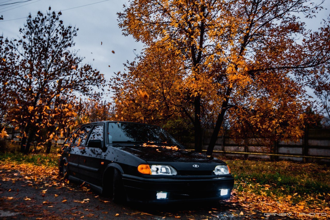   [|] - 17  2016  01:44