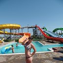 ���� ����������, �����������, 38 ��� - ��������� 13 ������ 2015 � ������ ���� ����������
