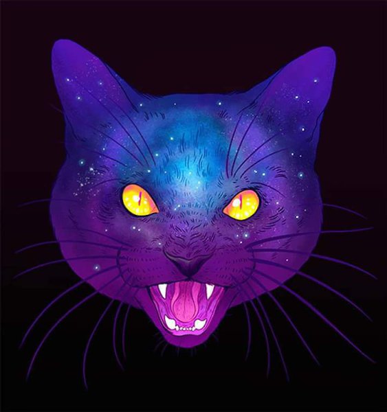 Galactic Cat.by Jen Bartel - 6