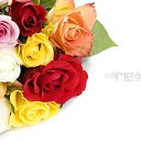 ���� ������, �����������, 67 ��� - ��������� 8 ����� 2016 � ������ ���� ����������