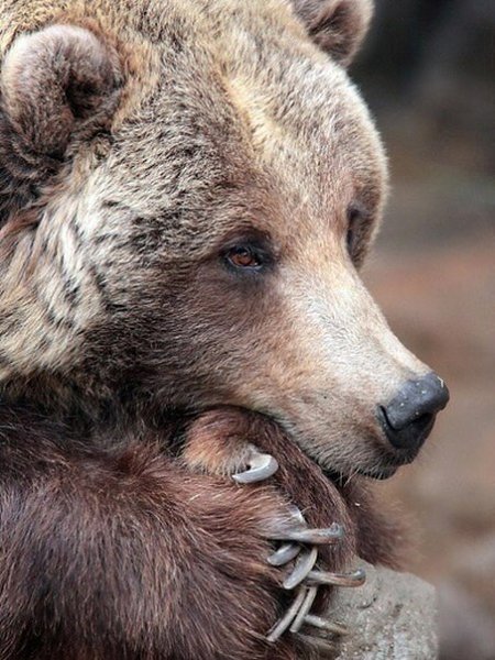 �������� ���� �������� ������ �������.#animal@travel.blog - 5
