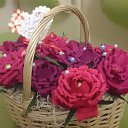 ���� �����, ������, 35 ��� - ��������� 9 ������ 2015 � ������ ������