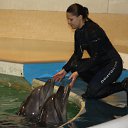  Valentina,  -  4  2015   