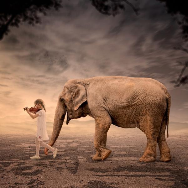    (Caras Ionut)..       ... - 13