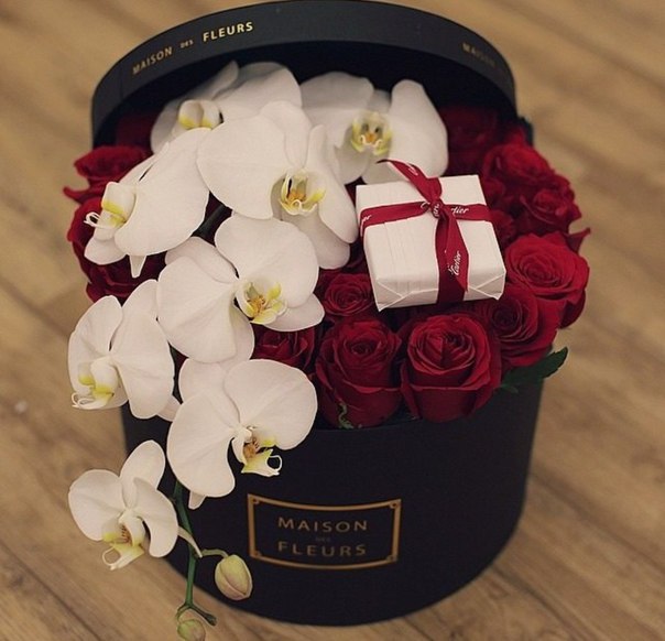 ����� ��� � ������������... � ������� ��� - �� �����������... � ��� ������ ������!