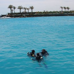 �, ������