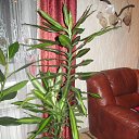 ���� �����, ���� - ��������� 3 ������ 2015 � ������ �� ����! )))�