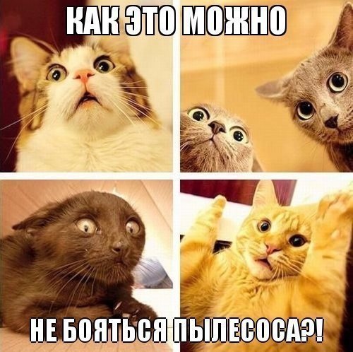       - 1  2015  16:03