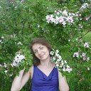 ���� �����, ����� - ��������� 8 ������� 2016 � ������ ���� ����������