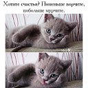 ���� �����, ����, 44 ���� - ��������� 11 ������ 2015 � ������ ������ ��������