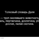 ���� ������, ������ - ��������� 5 ������ 2015 � ������ ������ ��������