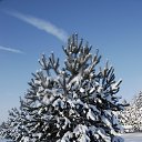 ���� ��������, ������, 73 ���� - ��������� 27 ������ 2016 � ������ ������ ��������