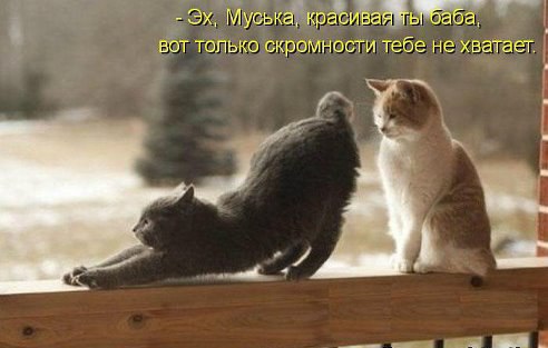������� - 1 ������� 2016 � 22:52