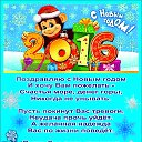 ���� ����, ������, 59 ��� - ��������� 1 ������ 2016 � ������ ������ ��������