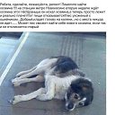 ���� ������, ������, 61 ��� - ��������� 21 ������� 2015 � ������ ���� ����������