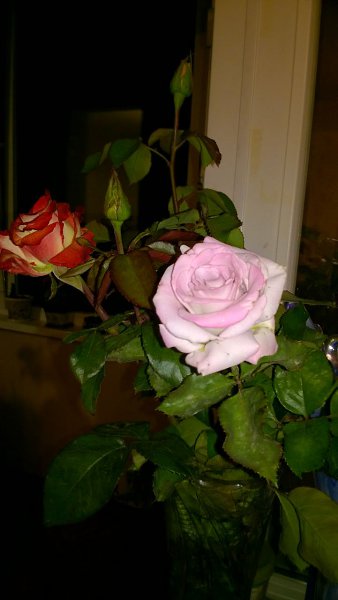 ������� - 11 ������� 2015 � 08:38 - 2