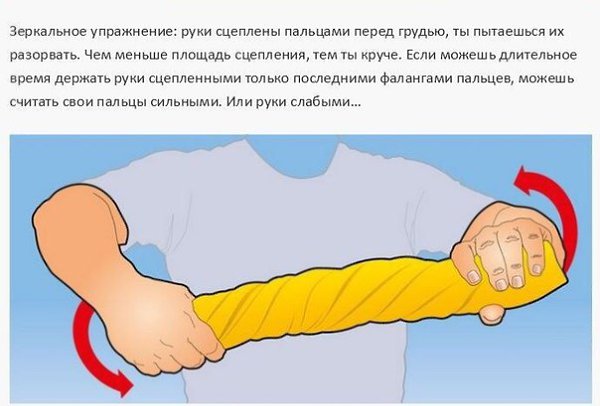 Простые и эффективные упражнения, которые позволят вам в короткие сроки увеличить силу хвата. - 4