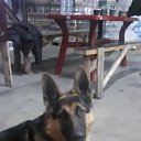 ���� �����, ������, 47 ��� - ��������� 7 ������� 2015 � ������ ���� ����������