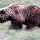 ���� ������, �����-��������� - ��������� 19 ������ 2015 � ������ ���� ����������