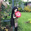 ���� �������, ������ - ��������� 25 ������� 2015 � ������ ���� ����������