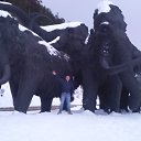 ���� ����, ������������, 50 ��� - ��������� 17 ������� 2016 � ������ ���� ����������