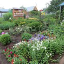 ���� ������, ����������, 81 ��� - ��������� 19 ������ 2015 � ������ �2015�