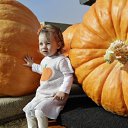 ���� ������, ����, 68 ��� - ��������� 13 ������� 2015 � ������ ������ ��������