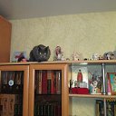 ���� ������, ������ - ��������� 11 ������ 2016 � ������ ���� ����������