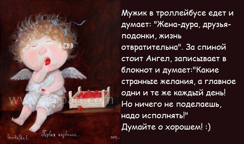  ( ) - 3  2016  20:29