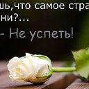 ���� �����, ����� - ��������� 30 ������ 2016 � ������ ������ ��������
