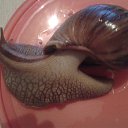 ���� �����, �������� - ��������� 17 ������� 2015 � ������ ���� ��������.�