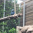 ���� �����, �����-���������, 59 ��� - ��������� 26 ������� 2015 � ������ ������ ��������