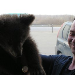 ������, ���������, 56 ���