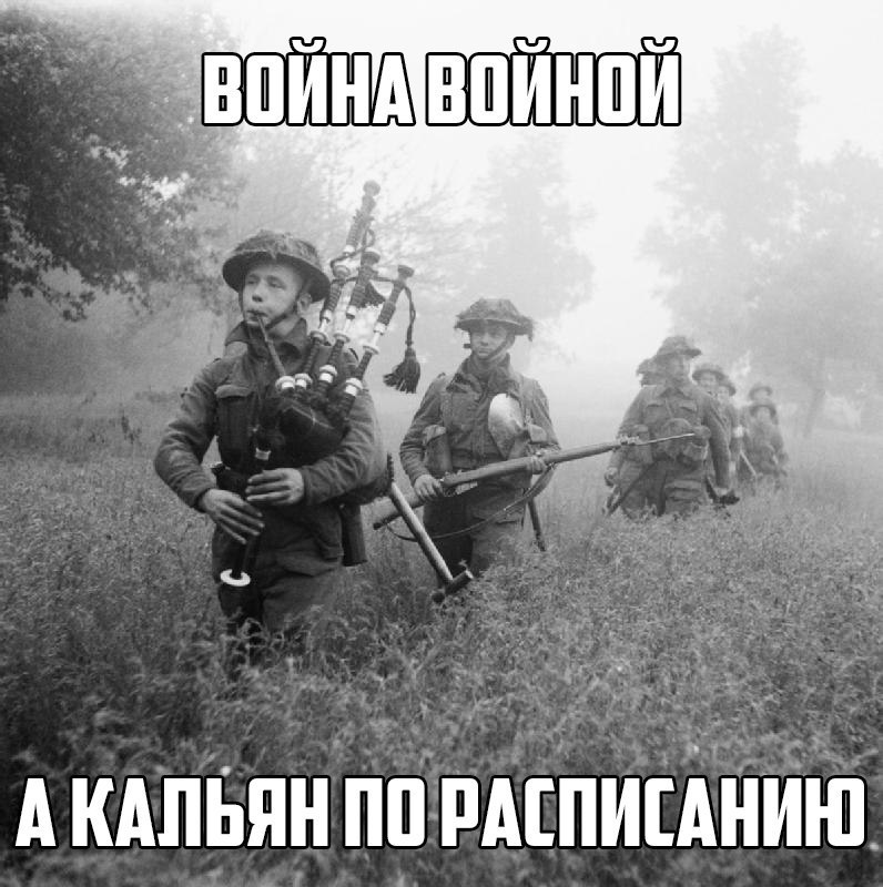 MDK - 8  2015  09:05