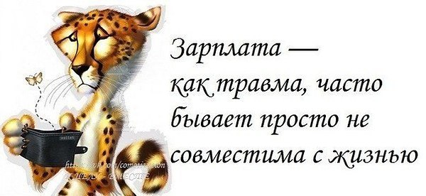 ������� - 7 ������� 2016 � 20:22