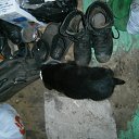  ,  -  3  2016        !!!