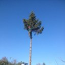 ���� ���������, ���������, 34 ���� - ��������� 31 ������� 2015 � ������ ������ ��������