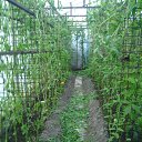 ���� ������, �����-��������� - ��������� 2 ������� 2015 � ������ ���� ����������