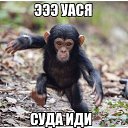 ���� ������, �����-��������� - ��������� 23 ������� 2016 � ������ ���� ����������