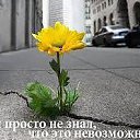 ���� ������, ��������� - ��������� 19 ������� 2015 � ������ ������ ��������