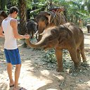 ���� ����, ������, 38 ��� - ��������� 1 ������ 2015 � ������ ���� ����������