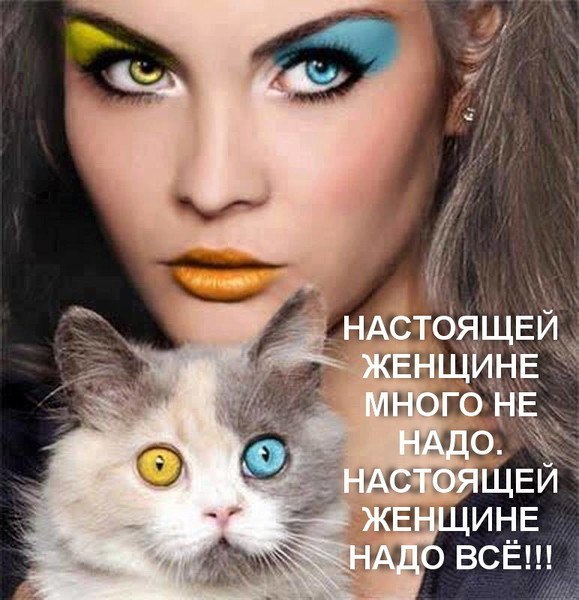 �������� �. - 20 ������� 2015 � 01:00