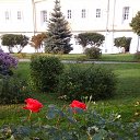   ))  !!!, , 70  -  10  2015    