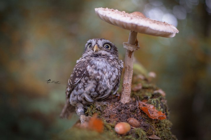  . Tanja Brandt - 7