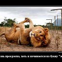 ���� Inna, ������, 44 ���� - ��������� 23 ������ 2016 � ������ ������ ��������