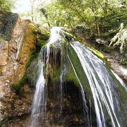 ���� �����, ���������, 49 ��� - ��������� 19 ������� 2016