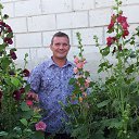 ���� ������, ���������, 53 ���� - ��������� 10 ������ 2016 � ������ ���� ����������