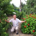 ���� ������, ���������, 53 ���� - ��������� 8 ������ 2016