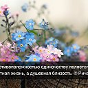 ���� Aleksandr, ���� - ��������� 27 ������� 2015 � ������ ������ ��������